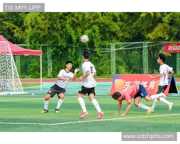 抢到足球明星亲笔签名足球的激动时刻与梦想成真的奇妙旅程