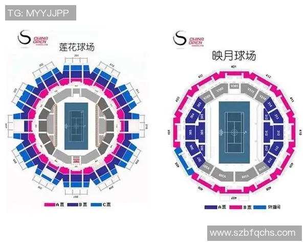 武汉网球队与北京网球队技术对抗赛后分析与总结