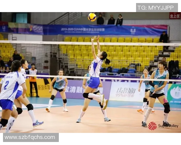 成都排球队选拔赛背后的拼搏故事与奋斗历程揭秘